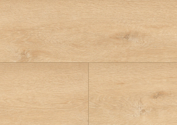 Wood XL - Queen's Oak Amber - Project Floors - Resilient Plank - Purline - Project Floors New Zealand Flooring Design specialists