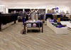 Easy Lay - Wheat JQL 01 - Project Floors - Vinyl Plank - Easy Lay - Project Floors New Zealand Flooring Design specialists